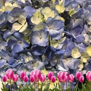 Meet your Posher, Diane